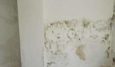 金屬屋面檐口滲水應(yīng)該怎么解決？家用防水涂料這幾點(diǎn)一定要注意