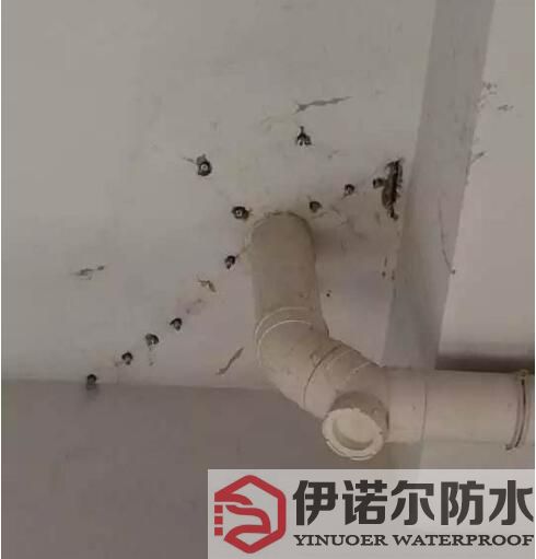 蘇州防水工程的基本內容是什么？